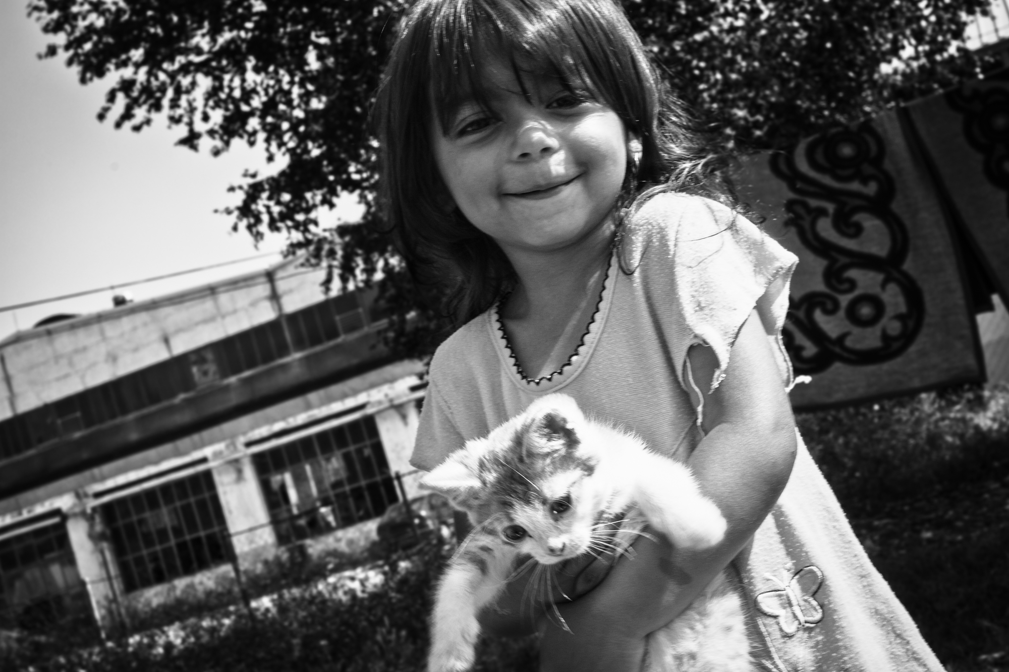 Foto aus gallery_12